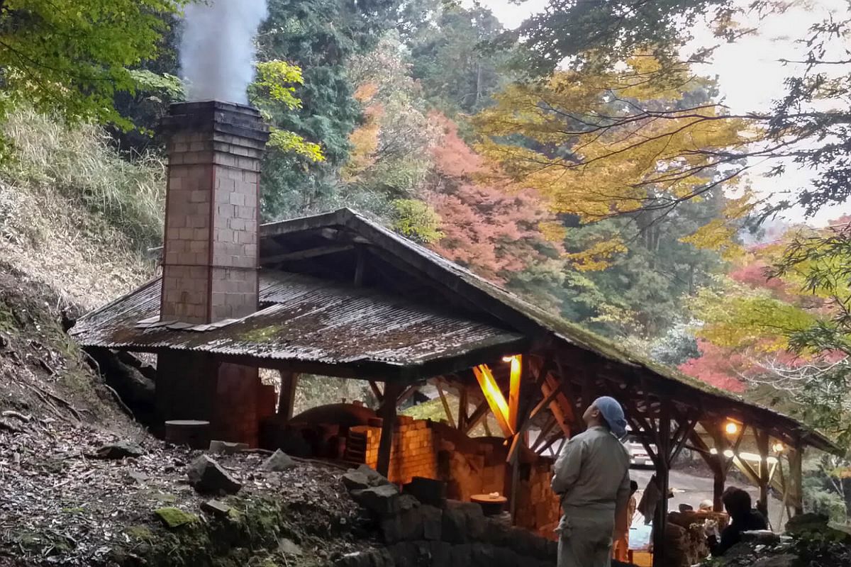 10谷窯染付葉 大盃 1個 | 有田焼 深川製磁｜公式オンラインストア
